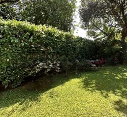 Bukit Timah Road (D10), Detached #617728591